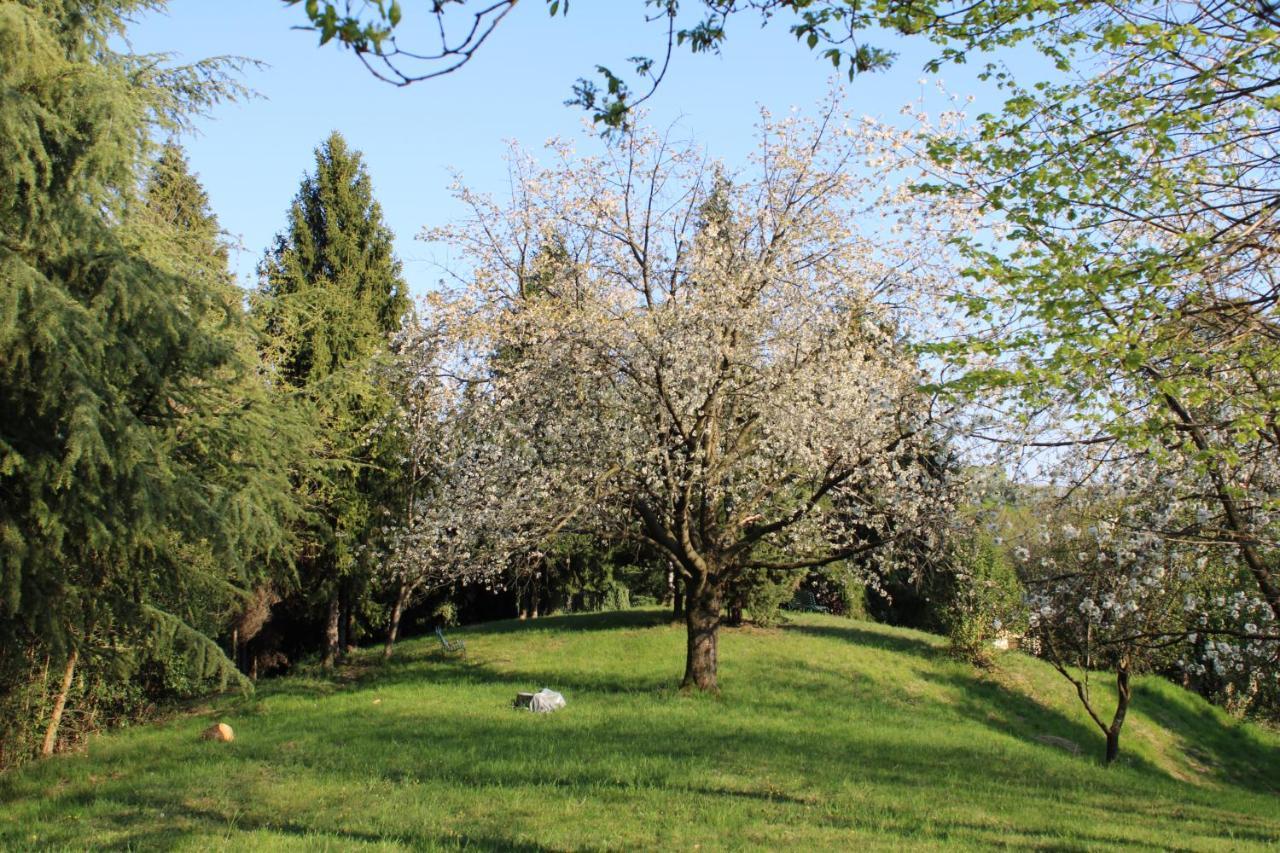 Villa Flangini Asolo Exteriér fotografie